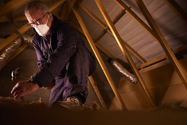 Best Attic Insulation Installation  in Camp Verde, AZ